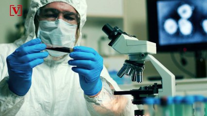 New Study Finds Coronavirus Immunity Can Fade in Just Weeks 🧬