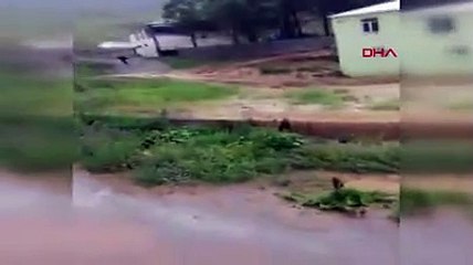 Bingöl'de sağanak sele dönüştü; çok sayıda evi su bastı