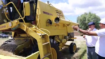 Çubuk’ta hububat hasadı - ANKARA