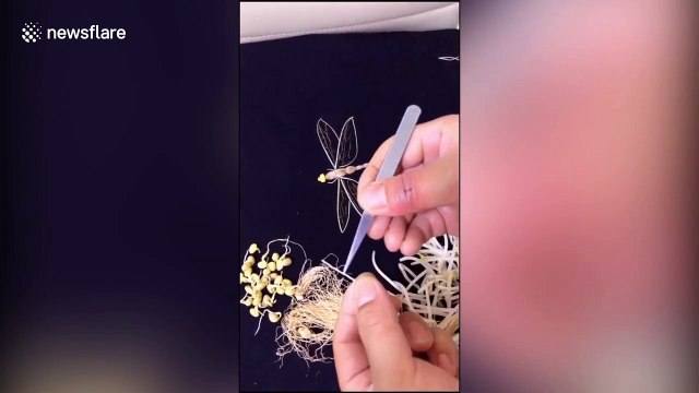 Chinese man uses bean sprouts to create paintings