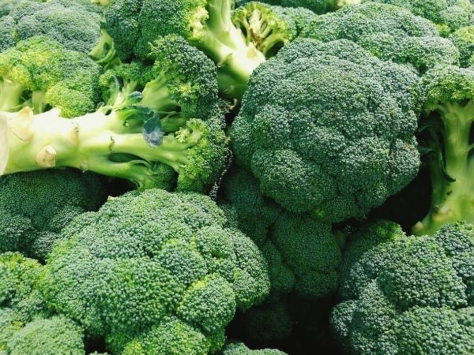 This Man Raised Caterpillars He Found in His Broccoli