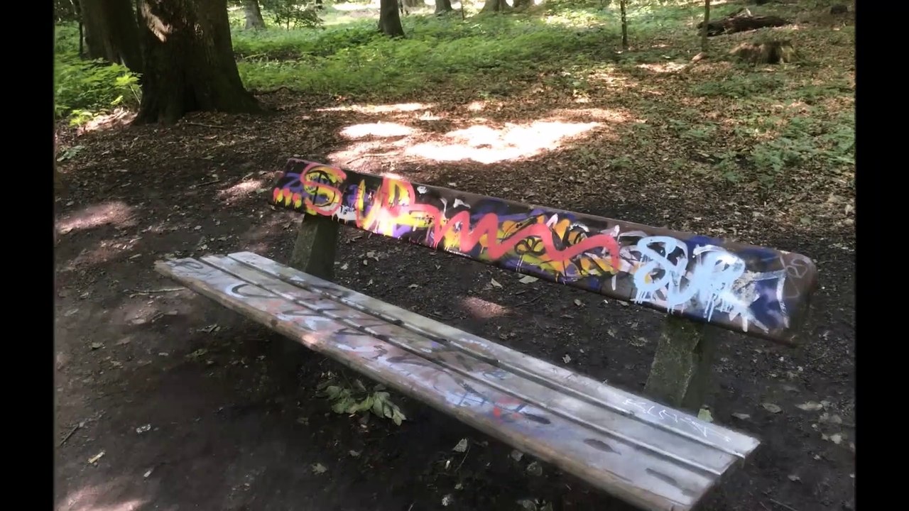 Pinneberg - Wald Juli 2020 /Full Film/Complete Movie/Ganzer Film