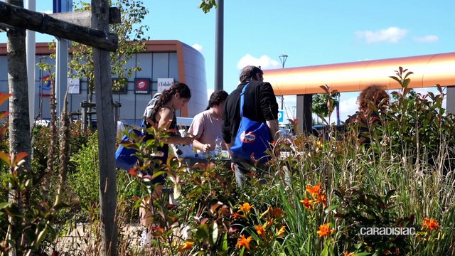 Essai - Skoda Octavia (2020) – La bonne à tout faire s'embourgeoise