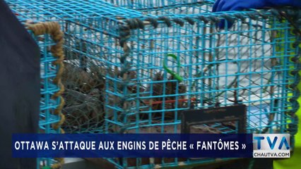 TVA Nouvelles 12H CHAU 13 juillet 2020