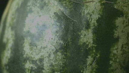 Trader Joe's Mini Watermelons Will Make Your Summer Sweeter