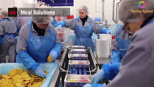 System Modern Cattle Processing Machinery, Amazing Food Production Technology, Cow Leather Processin