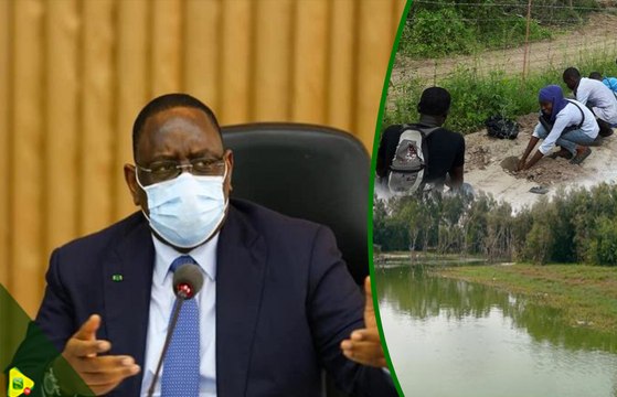 Forêt classé de Mbao : Les patriotes de Pastef préviennent Abdou Karim Sall