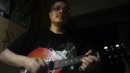 Raat ke Humsafar Mandolin Instrumental