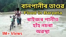 Flood, বানপানী, Assam Flood, Flood in Barpeta, Flood 2020, Banpani