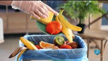 Uso integral dos alimentos // Pelo fim do desperdício