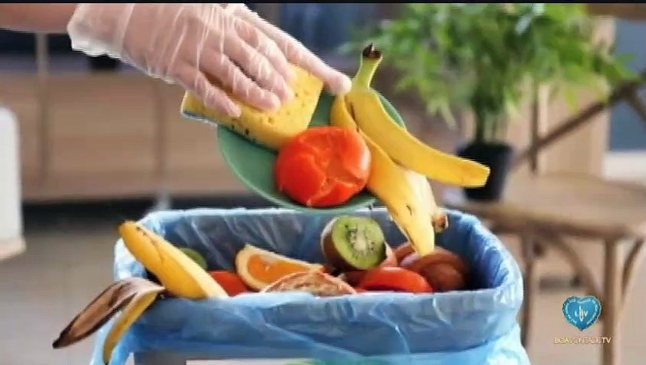 Uso integral dos alimentos // Pelo fim do desperdício