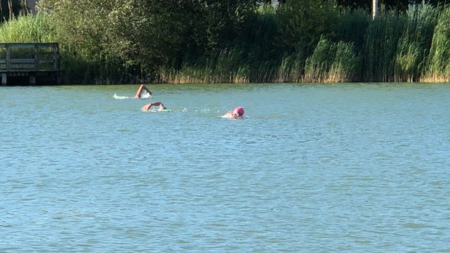 Quatre nageurs se relaieront pendant 24 heures