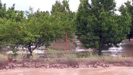 Sağanak yaşamı olumsuz etkiledi - ERZİNCAN