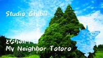 My Neighbor Totoro ～Studio Ghibli Piano Cover ～ Relaxing music - BGM