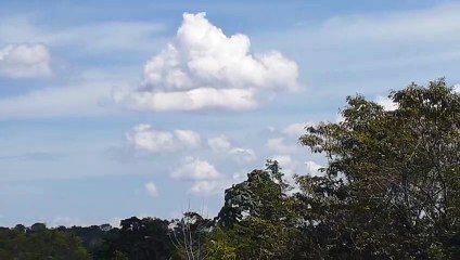 [SBEG Spotting]Boeing 737-800 PR-VBF na final antes de pousar em Manaus vindo de Fortaleza