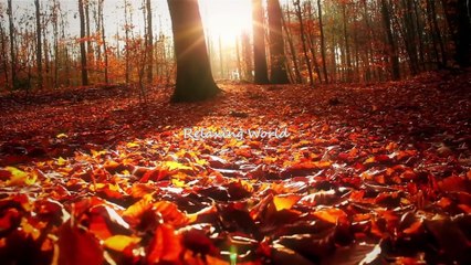 Morning relax Music || Listen and Relax yourself