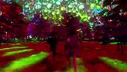 When Black Birds Fly Release Date Trailer