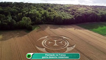 Plantação na França ganha desenho misterioso