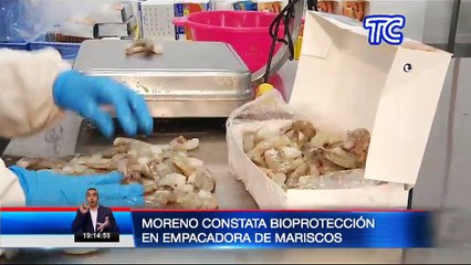 Presidente Lenín Moreno constata bioprotección en empacadora de mariscos