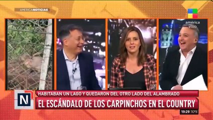 El escándalo de los carpinchos en el Country