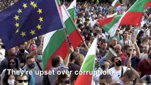 Bulgarians protest for fifth night against government