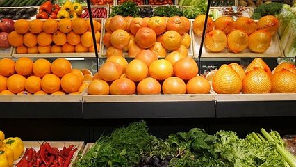 Easy Paleo Beginners Guide