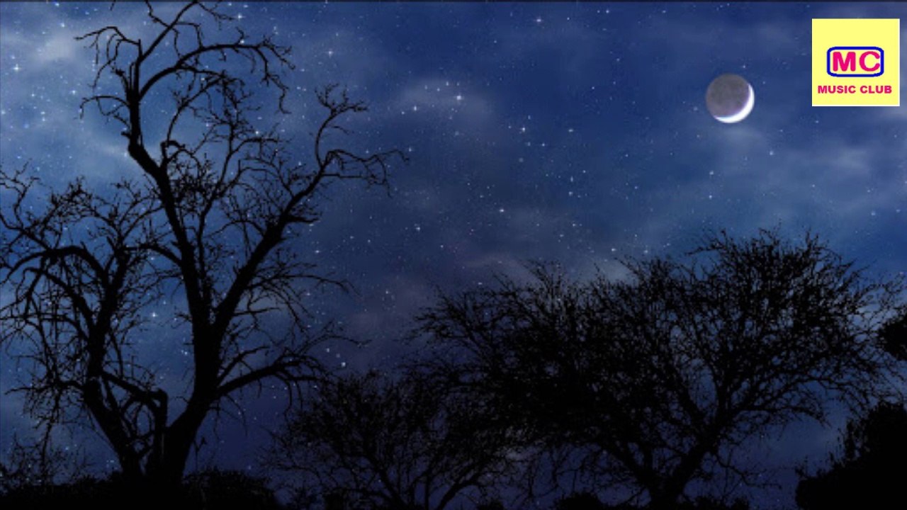 Relaxing Dark Piano Music with Beautiful Landscape Video | Music Club | *Exclusive* 14