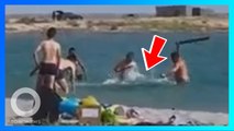 Demi foto, turis kejam pukuli anjing laut hingga tak sadarkan diri - TomoNews
