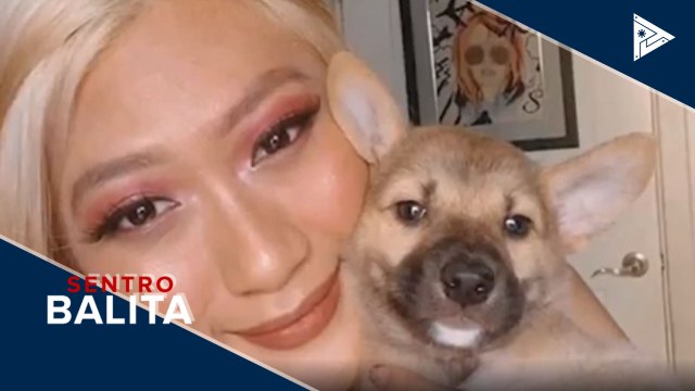 Publiko, pinag-iingat ukol sa pet scam online