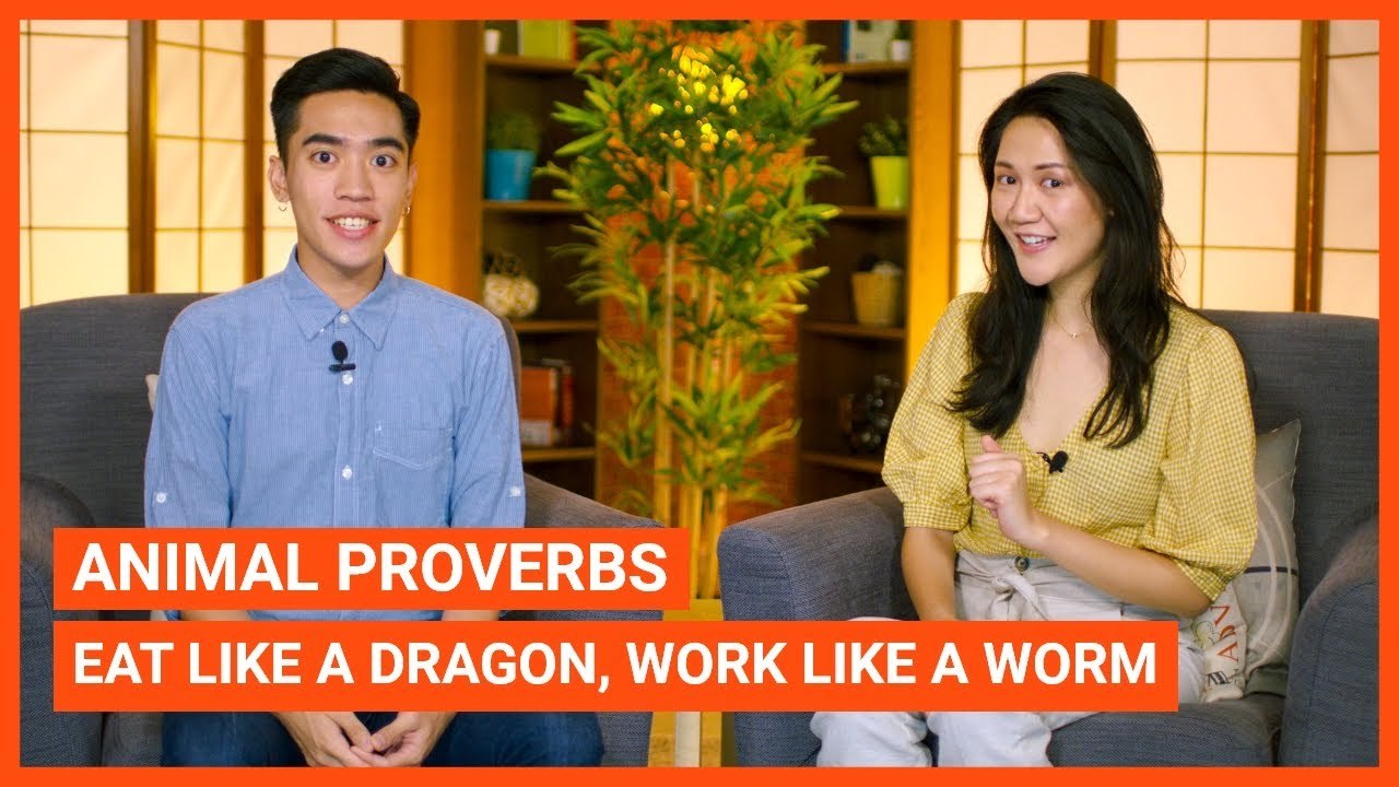 Animal Proverbs: Eat Like A Dragon, Work Like A Worm | Intermediate Lesson | ChinesePod (v)