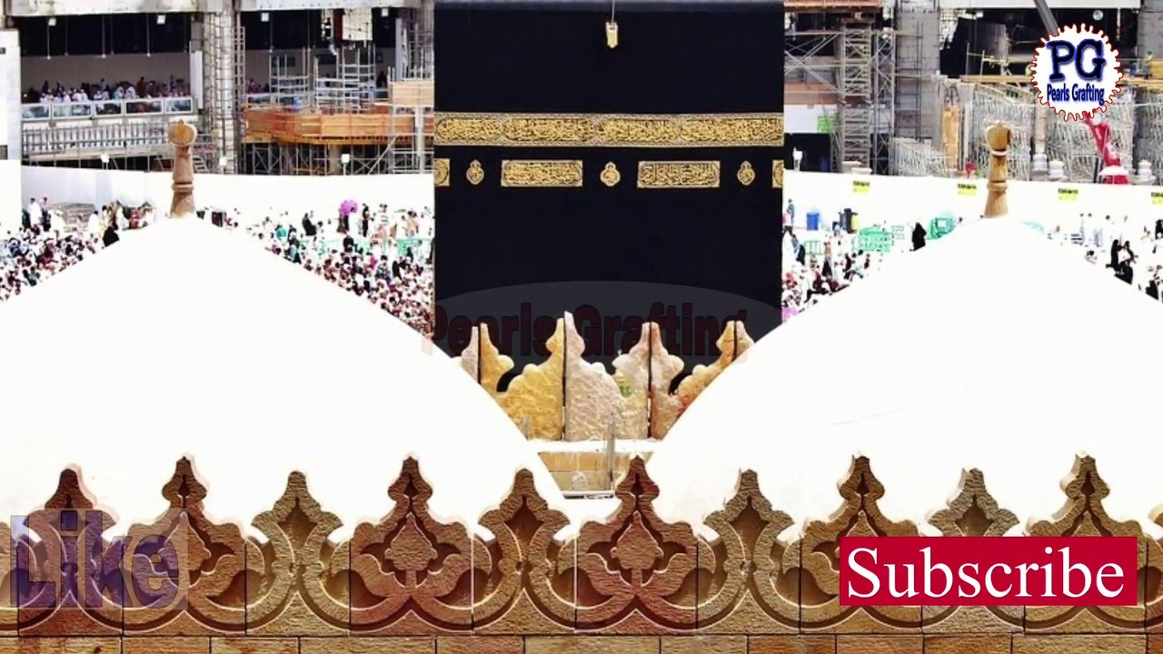 Tareekhi or anokhy hajj|frishto ki hazrat adam sy mulaqat|2000 sal phly haj krny waly frishty|پرل گرافٹنگ