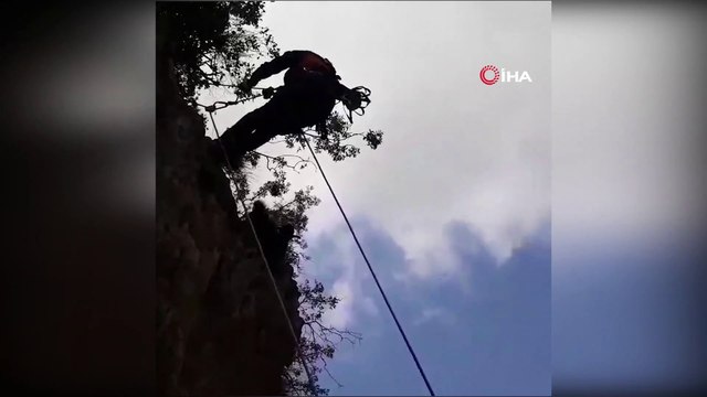 50 metrelik uçurumda mahsur kalan keçiyi kucağında kurtardı