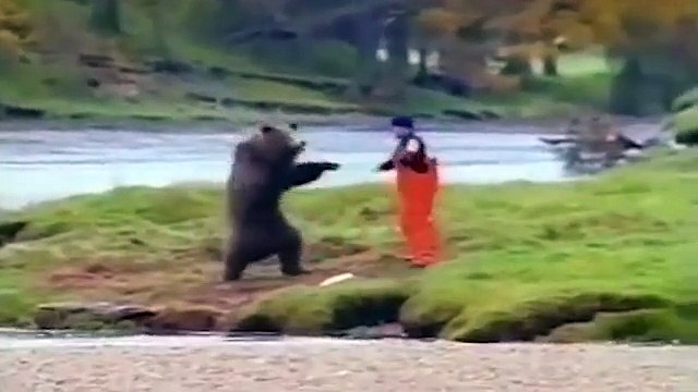 How To Fight ,A Bear Real ,Animal Fight Bear, Vs Human, The terrible attacks, of bears on ,humans