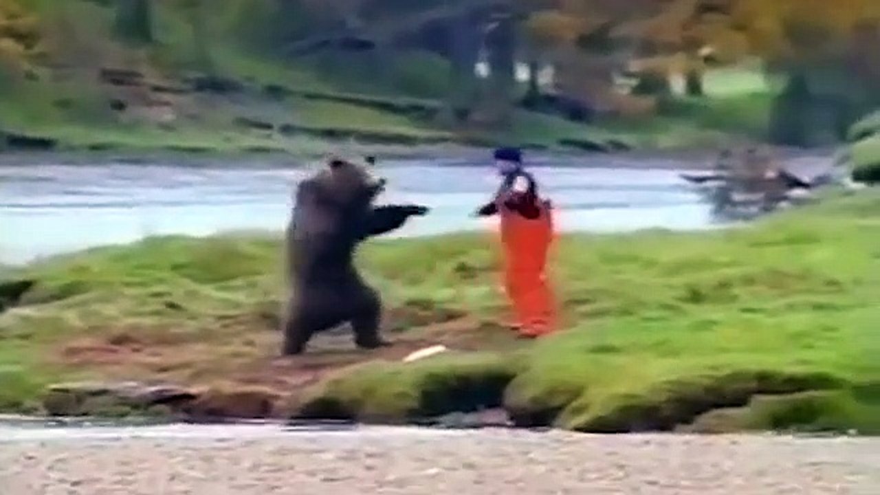 How To Fight ,A Bear Real ,Animal Fight Bear, Vs Human,  The terrible attacks, of bears on ,humans