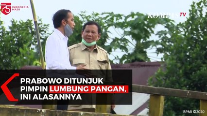 Terungkap! Alasan Jokowi Tunjuk Prabowo di Proyek Lumbung Pangan