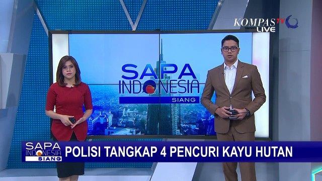 Polisi Tangkap 4 Pencuri Kayu Hutan, Kayu Dibawa dengan Kendaraan Minibus