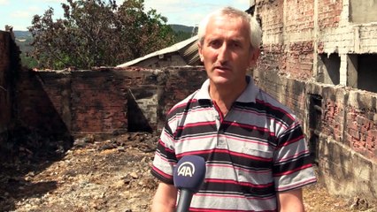 Kastamonu'da 1 tonluk 'Tosun' 23 bin liradan görücüye çıkıyor