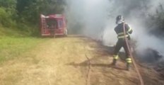 Longare (VI) - In fiamme scarti di vegetazione vicino vigneto (14.07.20)