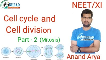 Cell cycle and cell division | part -2 |class 11 | neet 2021 - 2020 | inhead | Anand Arya