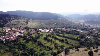 Bozüyük'ün sıralı yaylaları doğaseverleri bekliyor - BİLECİK