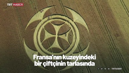 Fransa'da yeni bir ekin çemberi ortaya çıktı