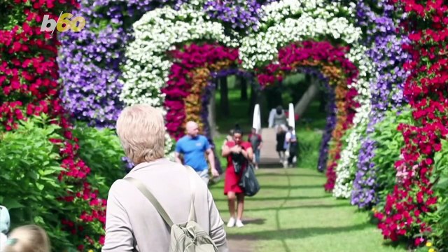 Two Million Flowers Used to Turn a Lithuanian Garden into a Magical Fairyland