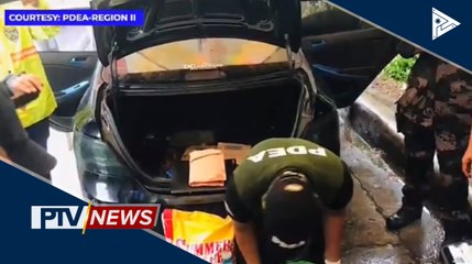 P2.4M halaga ng marijuana, nakumpiska sa checkpoint sa Isabela