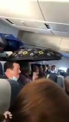 प्लेन के अंदर टपकने लगा पानी तो छतरी खोलकर बैठ गए लोग, देखिए वायरल वीडियो