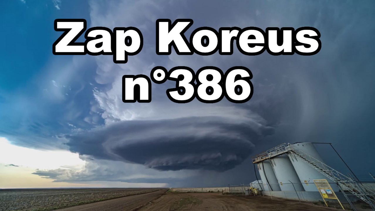 Zap Koreus n°386
