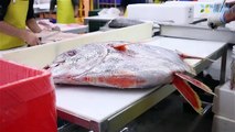 Fast Extreme Skill Cutting Giant Fish. Skill Cutting Big Tuna Fastest