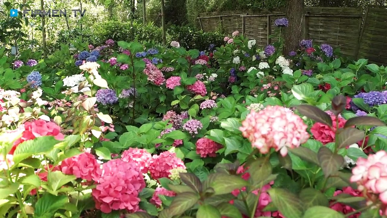 Das Garten-Haus in Wöllstein – Blumen, Dekoartikel, Wohnaccessoires und vieles mehr
