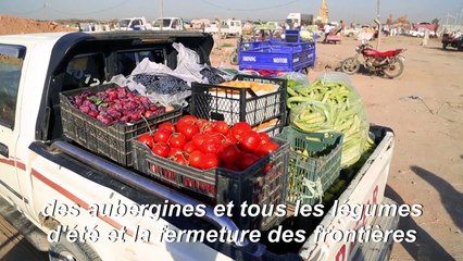 En Irak, le confinement donne un coup de pouce aux agriculteurs
