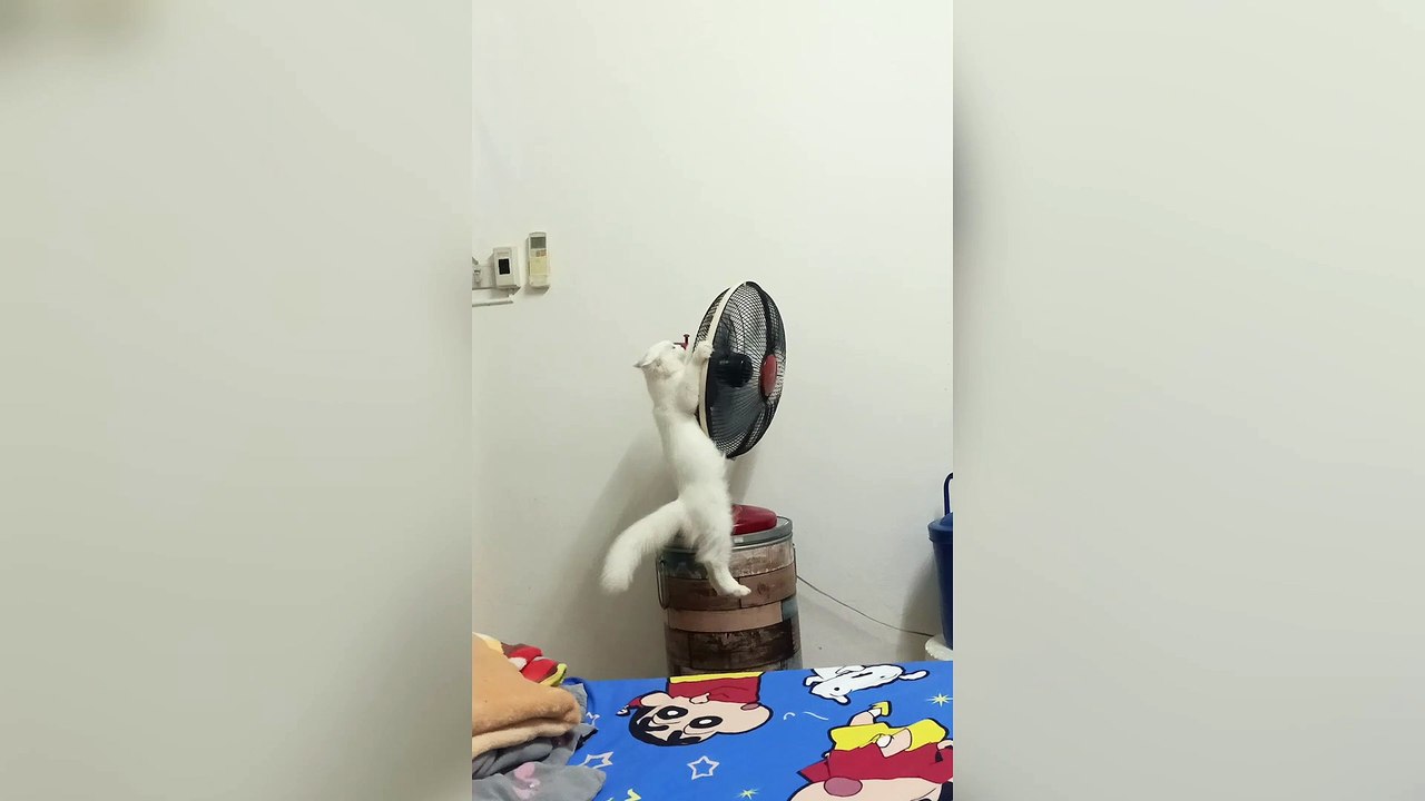 Truck-mounted crane topples over while felling tree