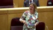 La senadora del PP María Salom llama «recalcitrante machista» a Iglesias por secuestrar el móvil de Dina